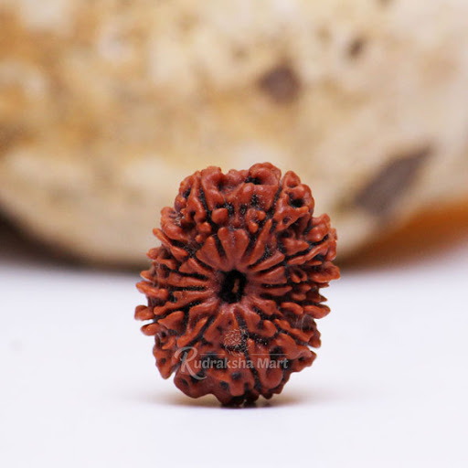 Rudraksha Mart - Gemstone & Rudraksha Shop Dealer in Mumbai & Vastu Products for Home, Business, Office