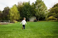 Wrangler Landscapes - Car repair in Columbia, MO, Columbia - Rated 4.4/5