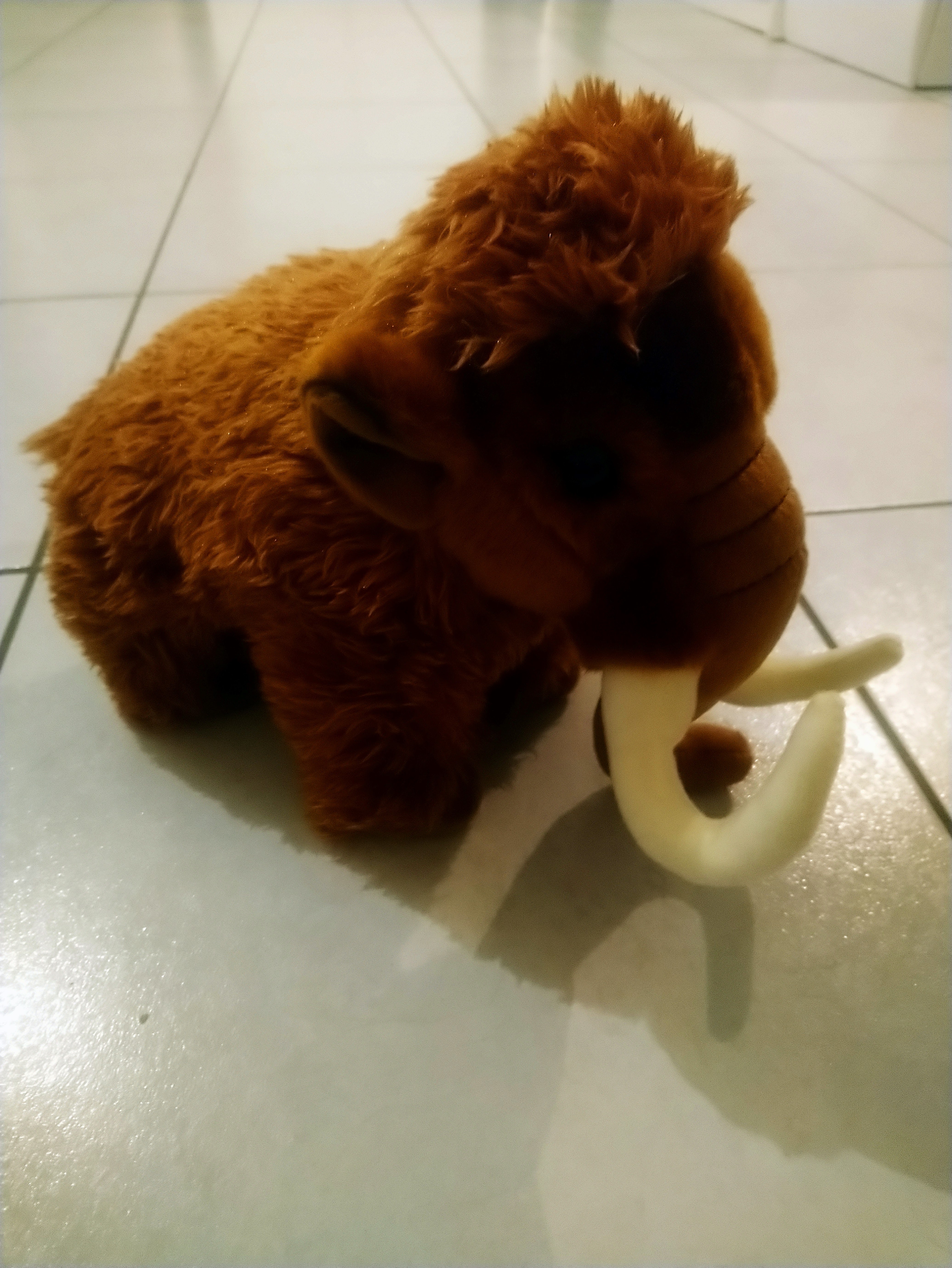 Photo n° 3 de l'avis de Laure.u fait le 21/10/2019 à 18:34