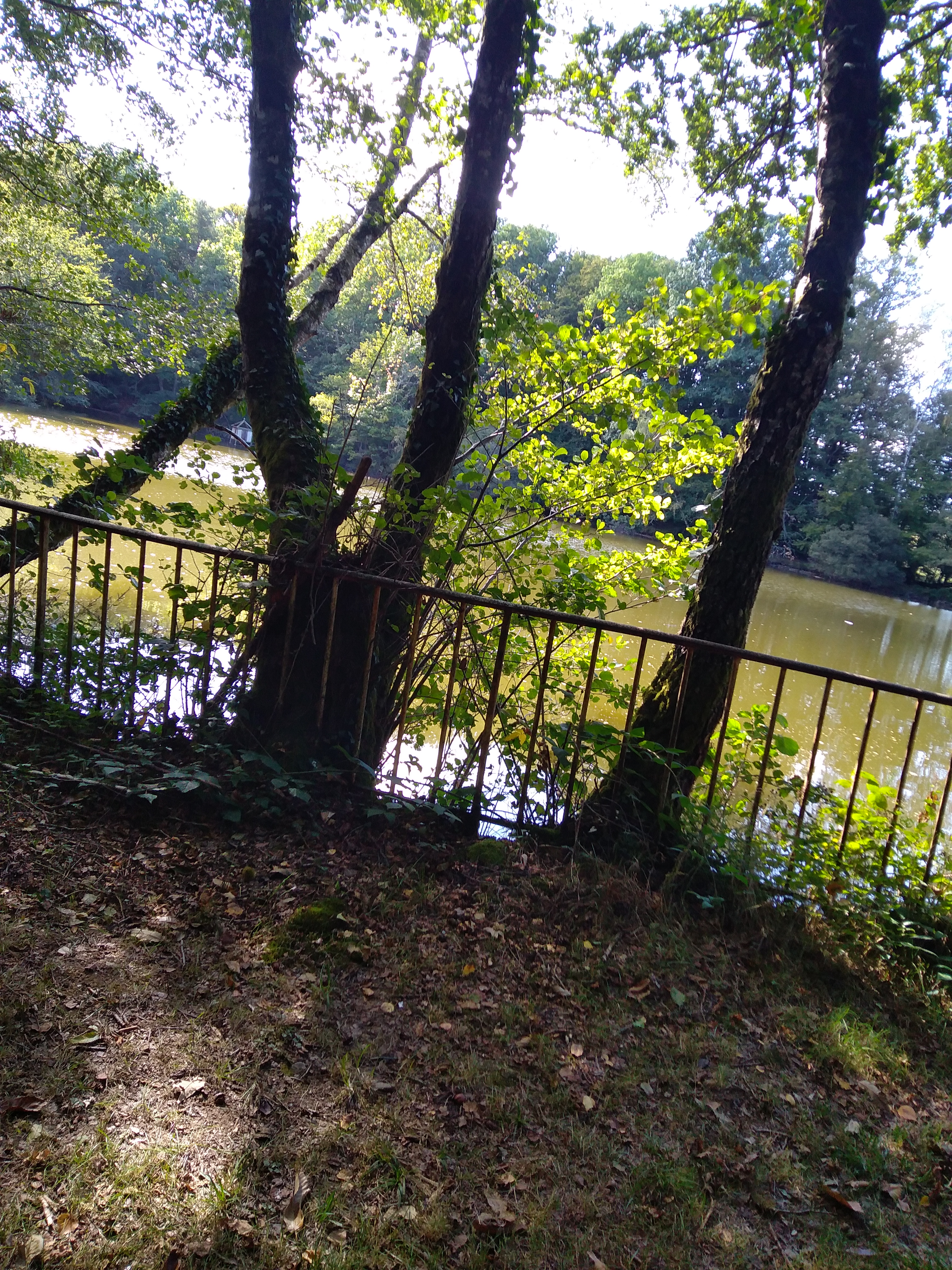 Photo n° 37 de l'avis de Sandy.i fait le 02/10/2022 à 17:34