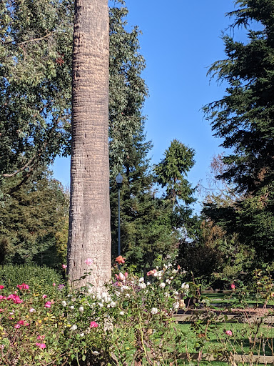 Park «Washington Park», reviews and photos, 850 Burlingame Ave, Burlingame, CA 94010, USA