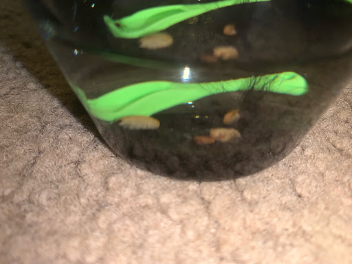 Pet Supply Store «PetSmart», reviews and photos, 2200 E Lohman Ave, Las Cruces, NM 88001, USA