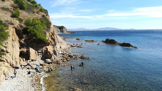 Plage Calanque Des Anthenors
