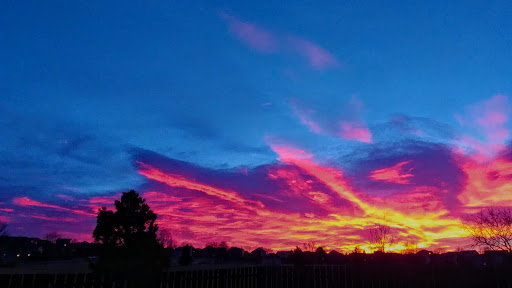 Park «Sandstone Park», reviews and photos, 4650 Pring Ranch Rd, Colorado Springs, CO 80922, USA