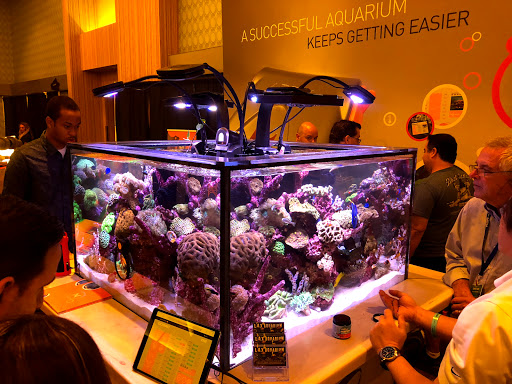 Tropical Fish Store «Lax Aquarium», reviews and photos, 5310 W Century Blvd, Los Angeles, CA 90045, USA