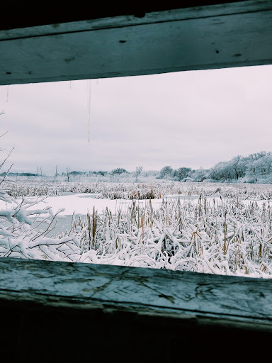 Nature Preserve «Volo Bog», reviews and photos, 28478 W Brandenburg Rd, Ingleside, IL 60041, USA