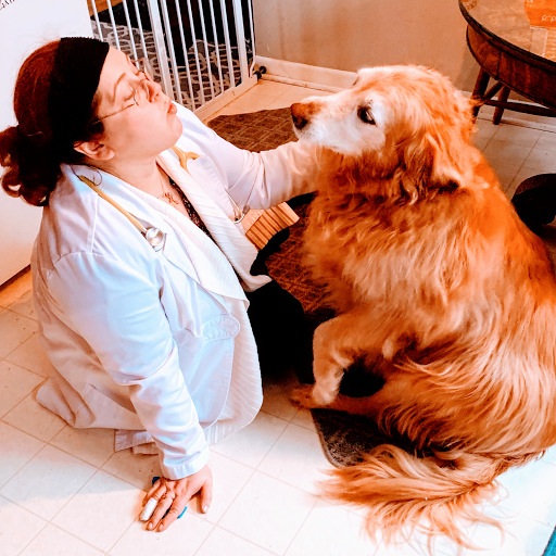 St. Francis Housecall Veterinary Services