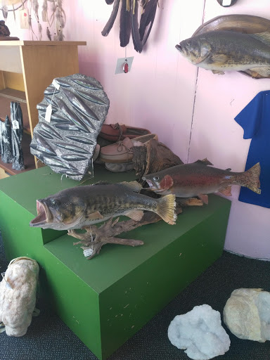 Gift Shop «Only In Colorado Inc», reviews and photos, 601 16th St, Denver, CO 80202, USA