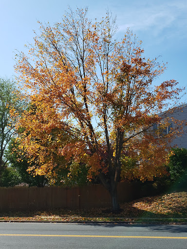 Shopping Mall «Vista Shopping Center», reviews and photos, 1080 W Patrick St, Frederick, MD 21703, USA