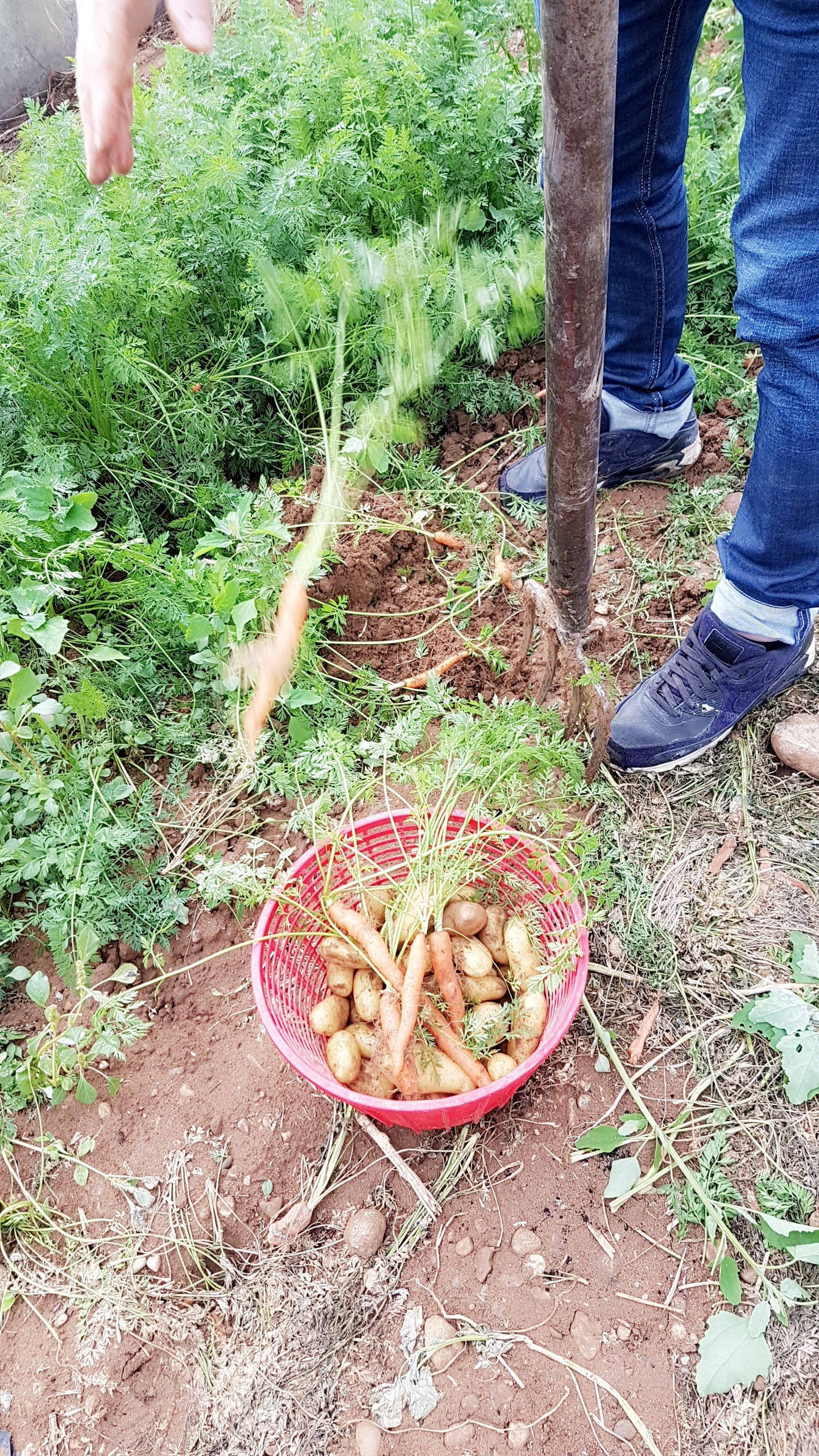 Photo n° 1 de l'avis de Emilie.e fait le 02/05/2019 à 08:20
