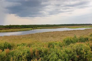 Kirkkosalmi Bird Watching Tower image