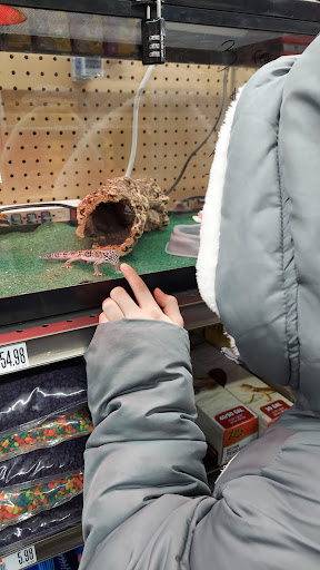 Pet Supply Store «Pet Supplies Plus», reviews and photos, 1676 E Summit St, Crown Point, IN 46307, USA