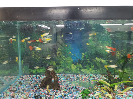 Pet Supply Store «Animal House Pets LLC», reviews and photos, 217 W 14th St, Marshfield, WI 54449, USA