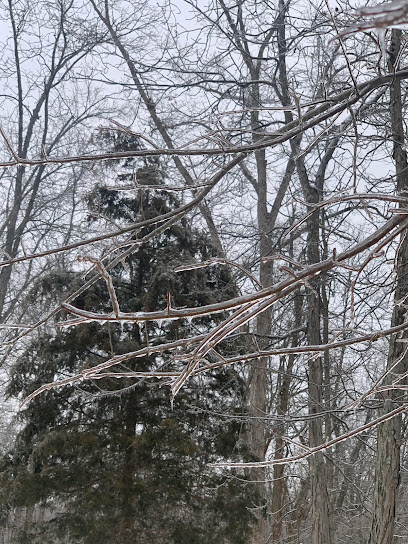 Tree Pro Inc