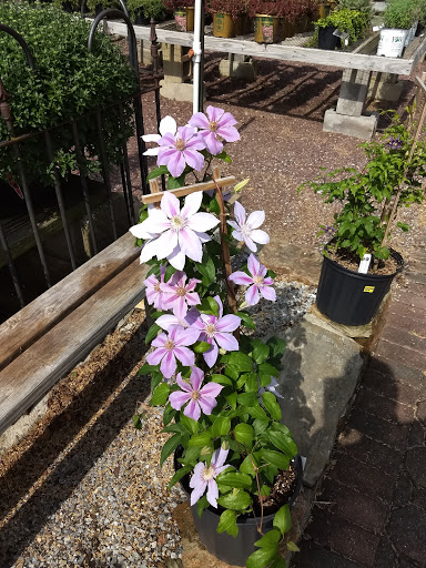 Landscaper «Garden Greenhouse & Nursery», reviews and photos, 1919 U.S. 9, Cape May Court House, NJ 08210, USA