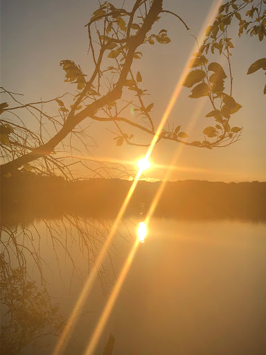 Golf Course «Fresh Pond Golf Course», reviews and photos, 691 Huron Ave, Cambridge, MA 02138, USA