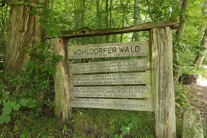 Wohldorfer Wald Nature Reserve image