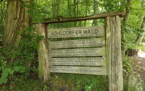 Wohldorfer Wald Nature Reserve image