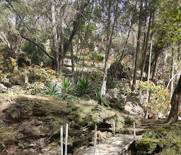 El Salto SMSEM Ixtamil photo