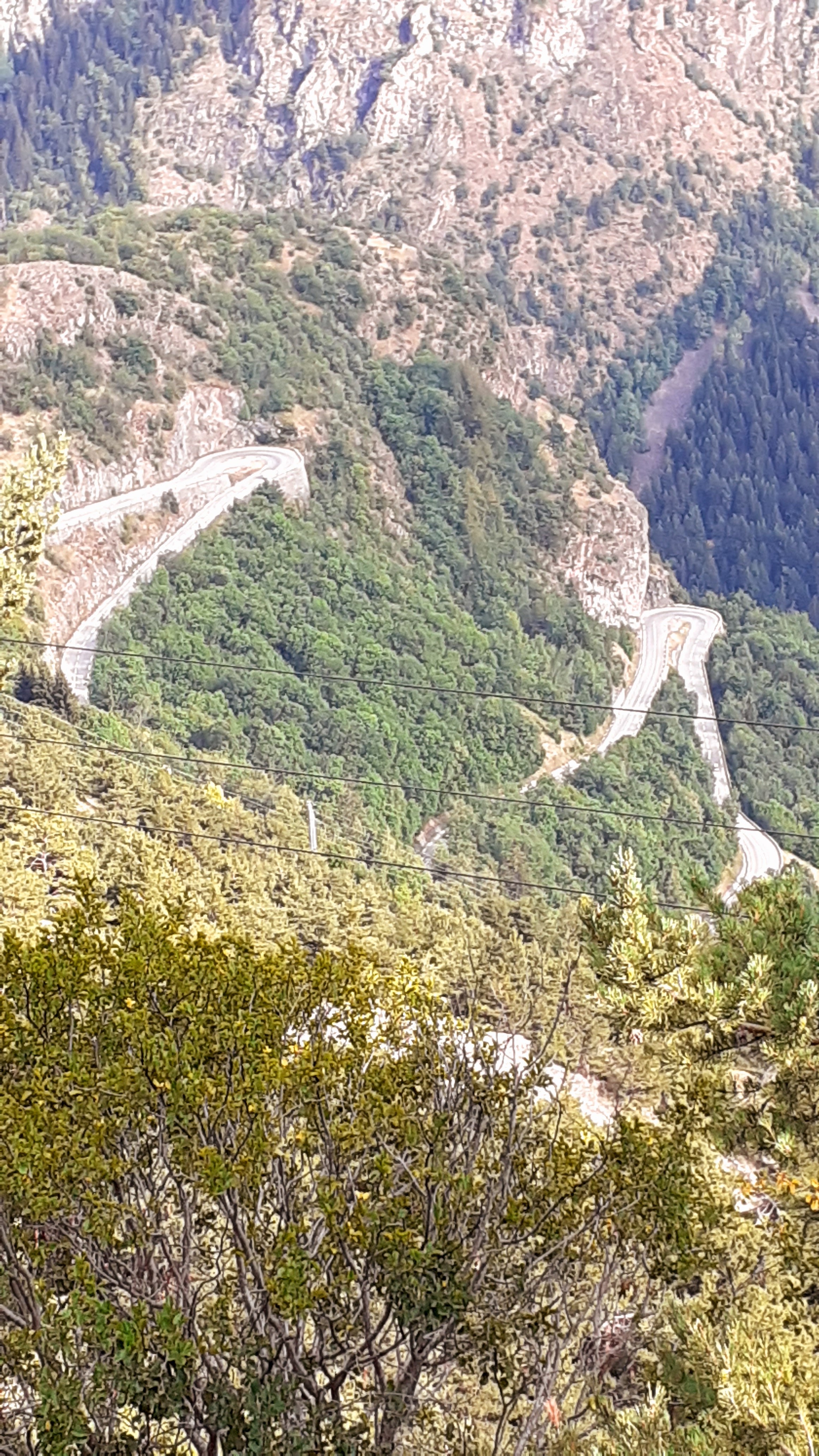Photo n° 6 de l'avis de Gerard.o fait le 11/08/2020 à 12:17