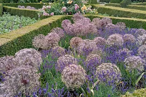 Flower Garden Arundel Castle image