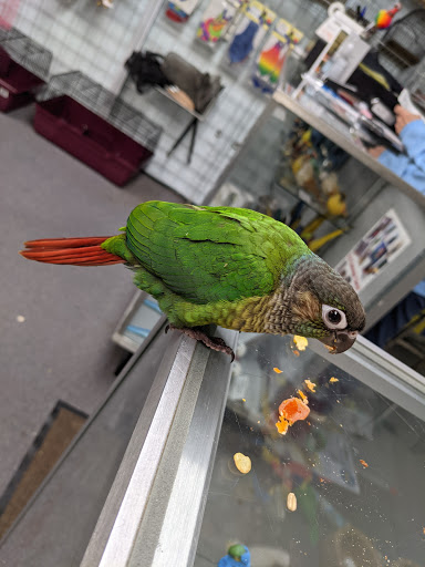 Pet Store «Adventure Birds of Bon Aqua», reviews and photos, 9600 TN-46, Bon Aqua, TN 37025, USA