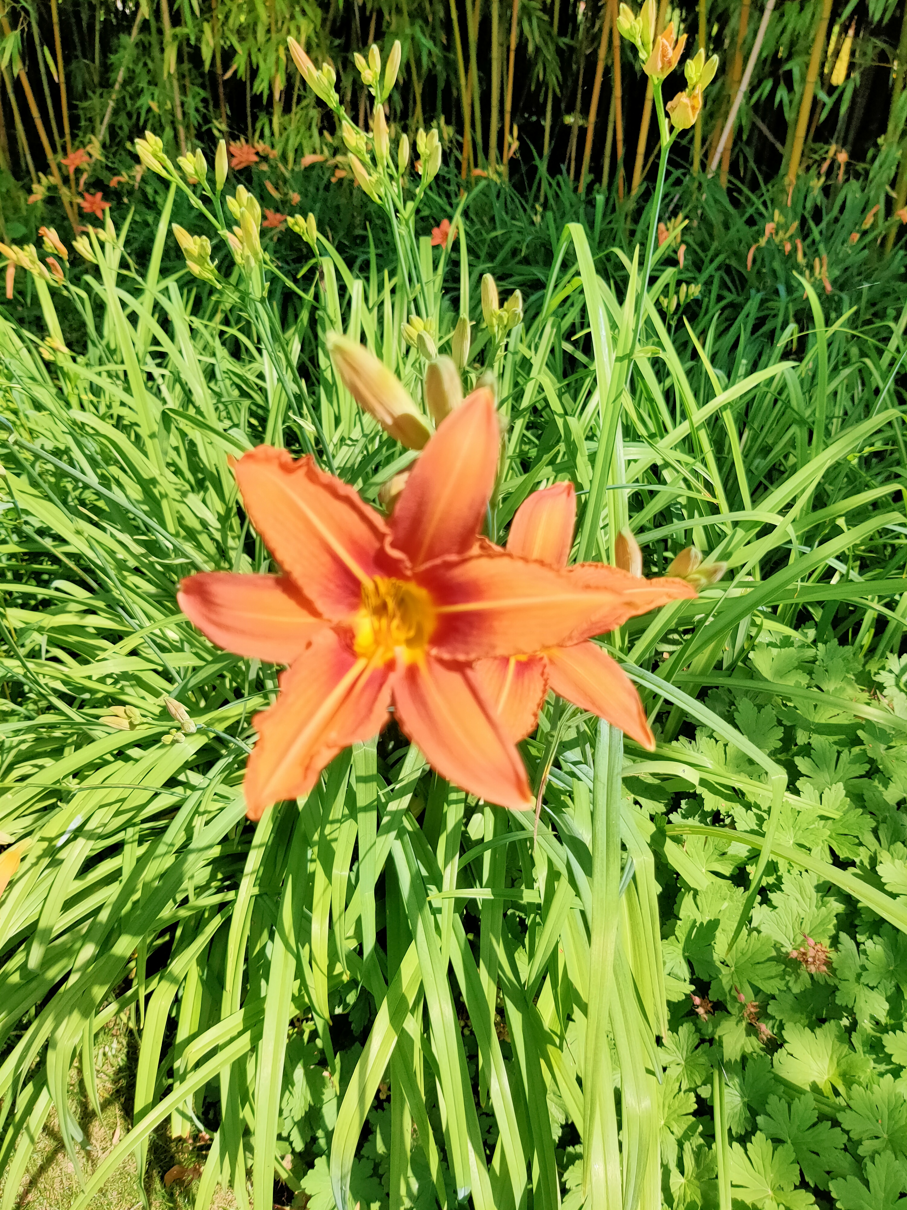 Photo n° 11 de l'avis de Juliette.e fait le 08/06/2022 à 08:02