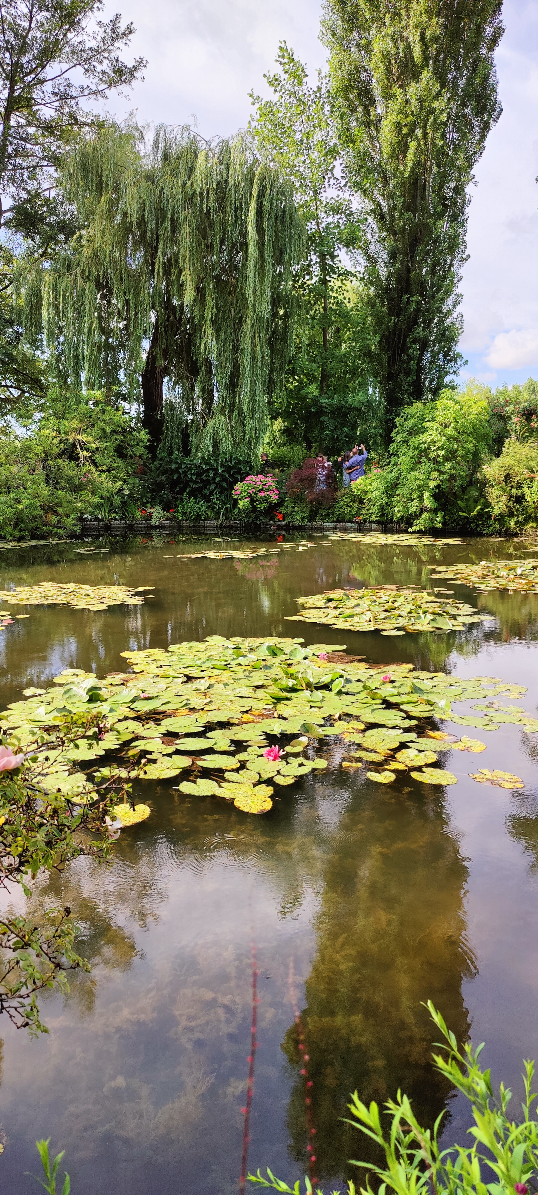 Photo n° 3 de l'avis de Clo.a fait le 17/07/2023 à 16:16