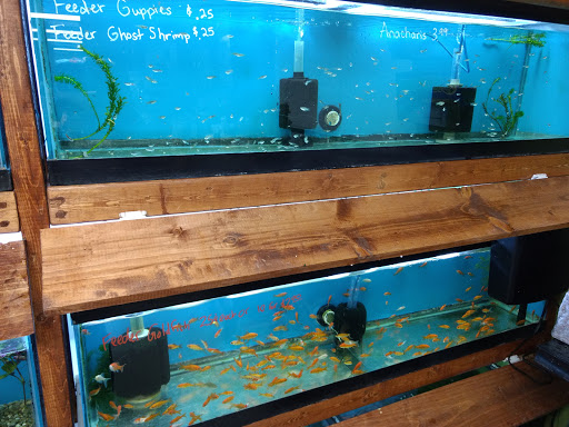 Pet Supply Store «Sunflower Natural Pet Supplies», reviews and photos, 514 Pillsbury Dr, Manhattan, KS 66502, USA