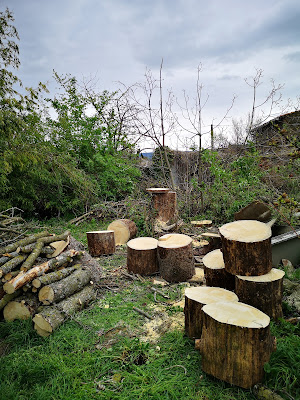 Treez Élagage à Coux