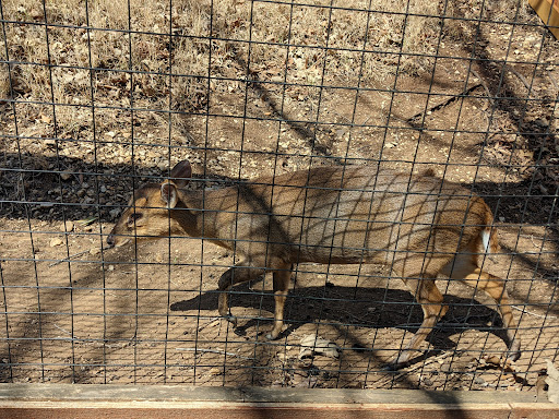 Zoo «Frank Buck Zoo», reviews and photos, 1000 W California St, Gainesville, TX 76240, USA