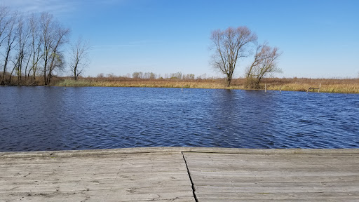 Nature Preserve «Rollins Savanna Forest Preserve», reviews and photos, 20160 W Washington St, Grayslake, IL 60030, USA