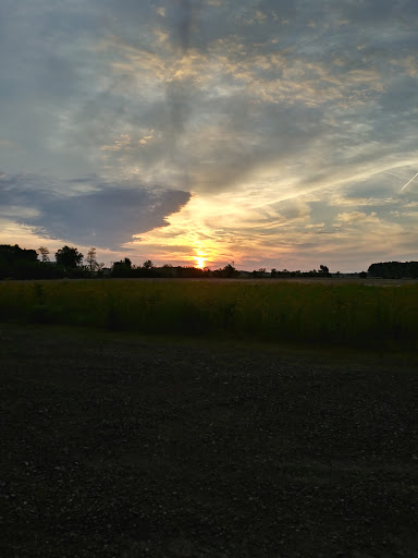 Nature Preserve «Meltzer Woods», reviews and photos, 1522 S 600 E, Shelbyville, IN 46176, USA