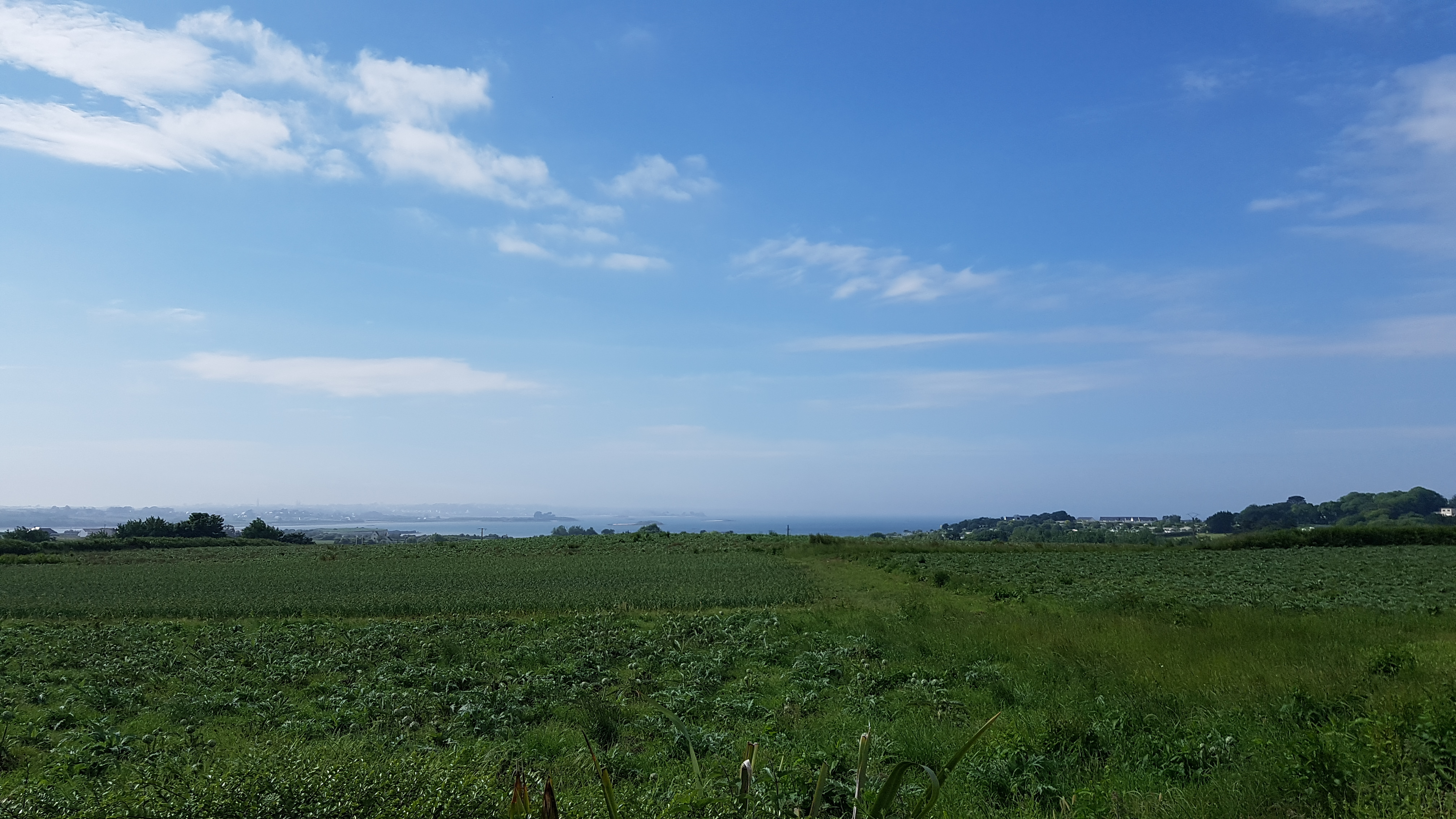 Photo n° 6 de l'avis de Mélanie.O fait le 21/06/2018 à 11:26
