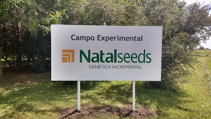 NATAL SEEDS (Campo Experimental)