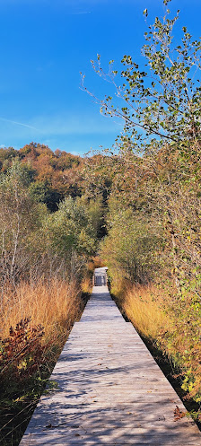 Espace naturel sensible de la Tourbière des Planchettes Unnamed Road 38870, Saint-Pierre-de-Bressieux, France
