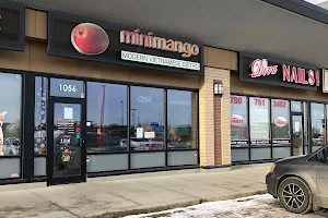 Mini Mango: a fresh take on Vietnamese and Thai cuisine image