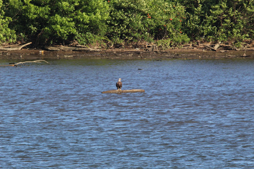 Park «Long Bridge Park», reviews and photos, 475 Long Bridge Drive, Arlington, VA 22202, USA