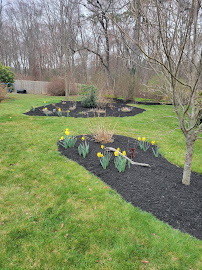 Frontline Lawn Services - Photo 9 - Car repair in , Providence