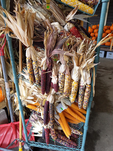 Produce Market «Idylwilde Farms», reviews and photos, 366 Central St, Acton, MA 01720, USA