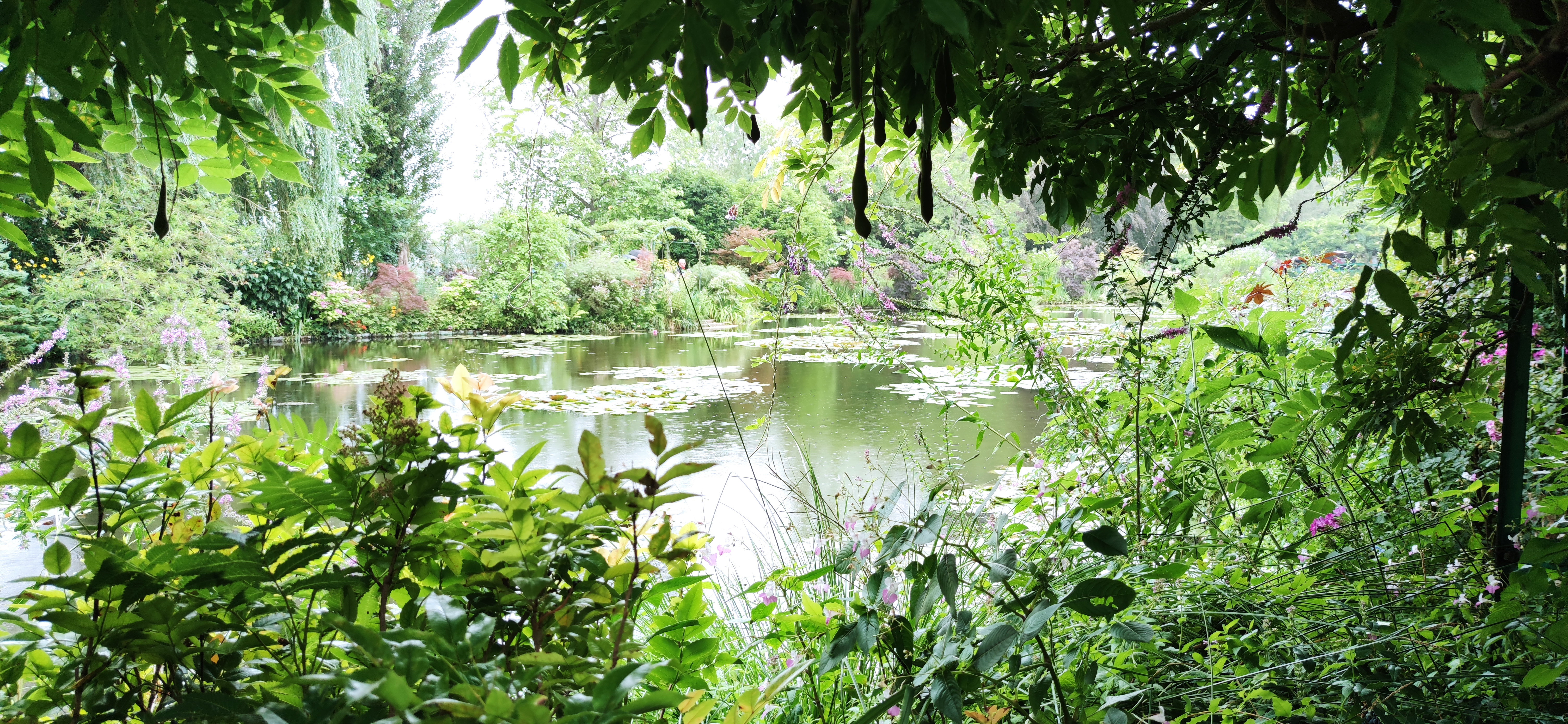 Photo n° 1 de l'avis de Margo. fait le 06/08/2023 à 18:30