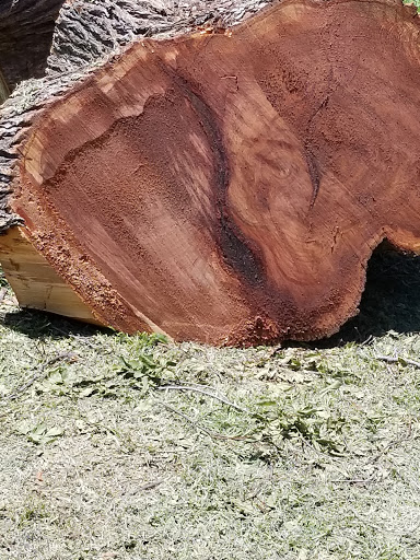 Birdville Area Team Sports