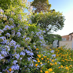 Photo n°2 de l'avis de marvin.� fait le 01/08/2023 à 08:38 sur le  Hapimag Resort Cefalù à Mazzaforno