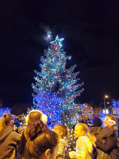 Pet Supply Store «Mud Bay», reviews and photos, 24107 SE Kent Kangley Rd, Maple Valley, WA 98038, USA