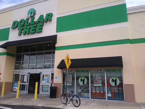 Dollar Store «Dollar Tree», reviews and photos, 33497 S Dixie Hwy #102, Florida City, FL 33034, USA