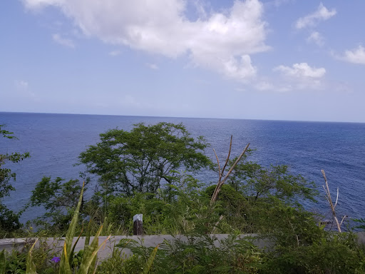 Permanent Mission of St Kitts and Nevis Foreign Consulate of San Cristóbal y Nieves in New York
