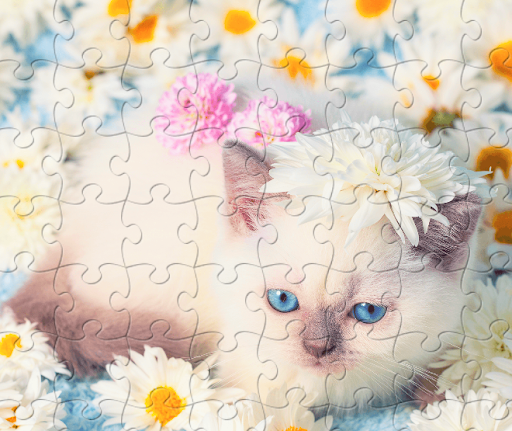 American Restaurant «Cracker Barrel Old Country Store», reviews and photos, 6941 Charlotte Pike, Nashville, TN 37209, USA