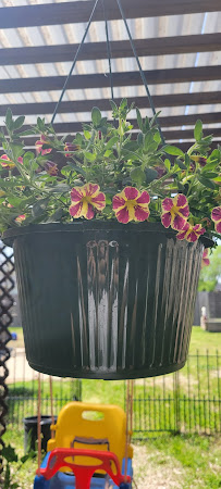 Carroll’s Lawn & Landscape, LLC - Photo 6 - Car repair in , Shreveport