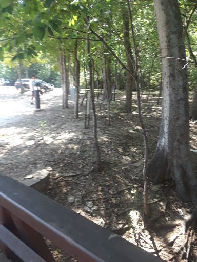 Recreation Center «The CORE», reviews and photos, 234 Parkway Blvd, Coppell, TX 75019, USA