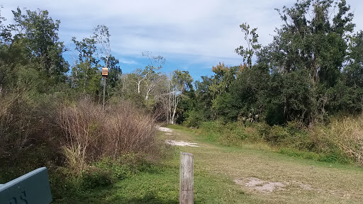 A-1 Gulf Coast Sewer & Drain in Dunedin, Florida